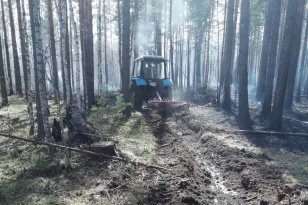 В лесном фонде на территории Иркутской области за минувшие сутки потушили четыре пожара
