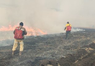 В лесном фонде в Приангарье накануне ликвидировали семь пожаров