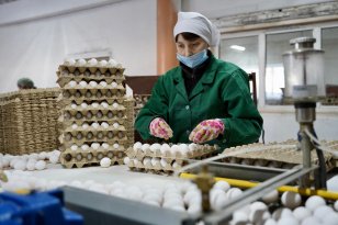 В Приангарье с начала года произвели более 300 млн яиц