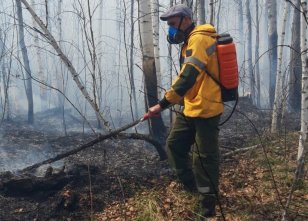 За минувшие сутки в лесном фонде в Иркутской области ликвидировано шесть возгораний