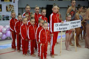 Команда Приангарья примет участие в финале Всероссийского мероприятия по гимнастическим видам спорта «Гимнастрада»