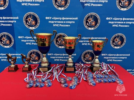 Красноярские пожарные победили во Всероссийских соревнованиях по боксу