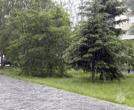 Ливневые дожди, при грозах вЂ“ порывистый ветер, град ожидаются в ряде районов Иркутской области в ближайшие сутки