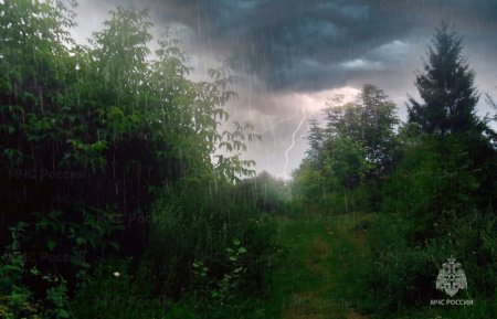 Сильные дожди, грозы, усиление ветра, на Байкале - до 25-30 м/с, ожидаются в Иркутской области 21 июня