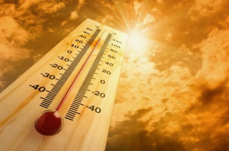 В Новосибирской области прогнозируется аномальная жара
