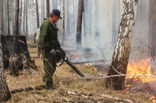 В лесном фонде в Приангарье за минувшие выходные потушили один лесной пожар