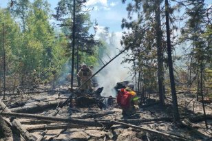 За минувшие сутки в Иркутской области потушено два лесных пожара