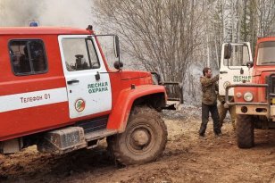 За минувшие сутки в лесном фонде в Иркутской области ликвидировано два возгорания