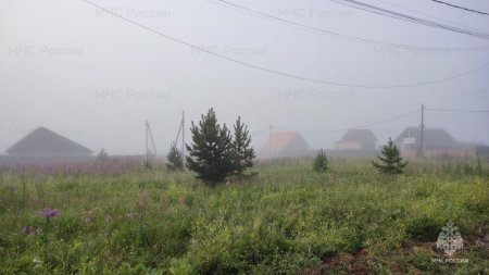 Ливни, грозы, туманы и усиление ветра прогнозируют метеорологи в ряде районов Иркутской области 23 июля