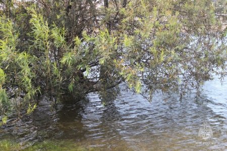 Метеорологи информируют о повышении уровня воды на Иркуте и возможном подтоплении пониженных участков местности