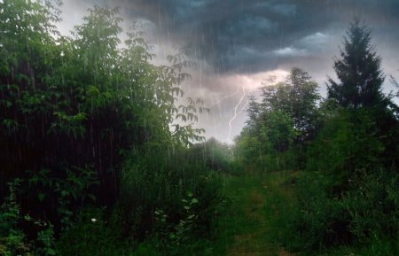 Об ухудшении погодных условий 4-5 июля информируют метеорологи жителей Иркутской области