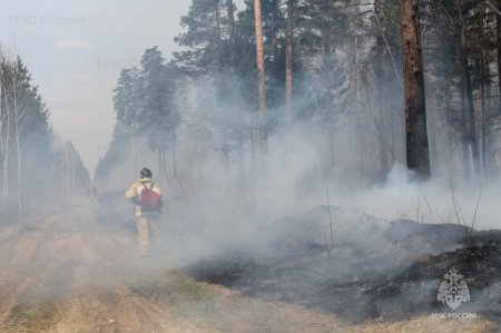 Особый противопожарный режим продлен в северных районах Иркутской области до 12 августа