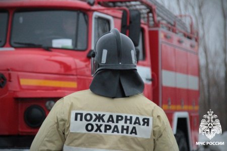 Свыше 200 раз за неделю экстренные службы Новосибирской области реагировали на происшествия