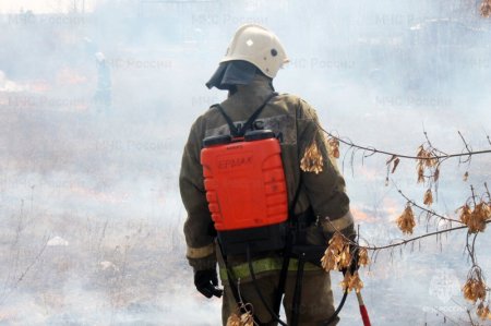 В Иркутской области 19 июля ожидаются местами кратковременные дожди, грозы, высокий и чрезвычайный классы пожарной опасности в лесах