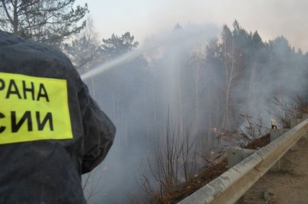 Высокие и чрезвычайные классы пожарной опасности в лесах ожидаются в ближайшие дни
