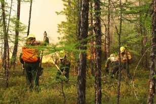 В Иркутской области 12 июля потушили восемь лесных пожаров