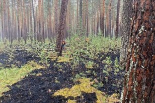 В Иркутской области за сутки потушили 10 лесных пожаров