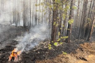 В Иркутской области за минувшие выходные потушили 10 лесных пожаров