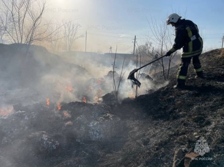Более 70 палов травы ликвидировали в крае