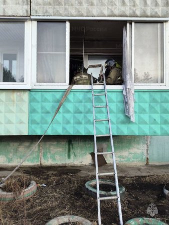 Девять пожаров ликвидировали в регионе 2 апреля