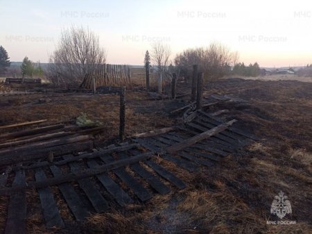 Из-за детской шалости в Тулунском районе загорелся сухостой и заборы