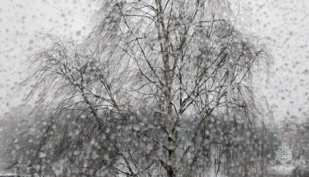   -   15-20 /,          1 