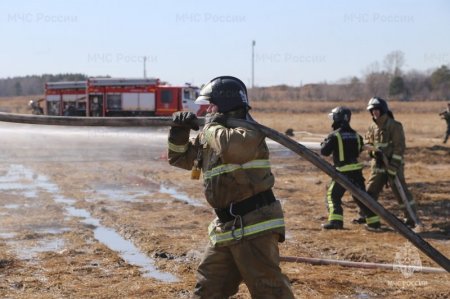 Прогноз пожароопасной обстановки в Красноярском крае