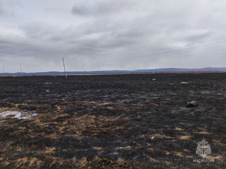 Сотрудники государственного пожарного надзора установили виновных в возникновении ландшафтного и лесного пожаров
