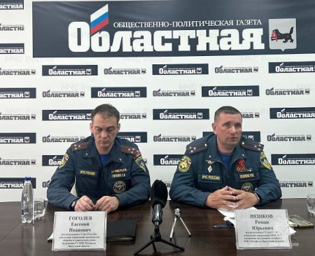 В Иркутской области особый противопожарный режим будет введен во второй декаде апреля на юге, на севере вЂ“ в первой декаде мая
