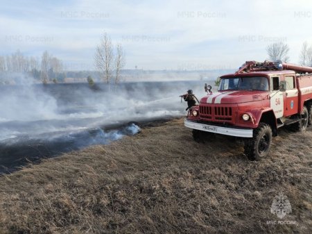За выжигание травы придется ответить по закону