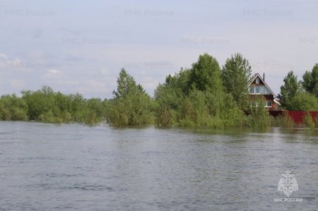 35 �������� ��������: ���� �������� ��������� �������…