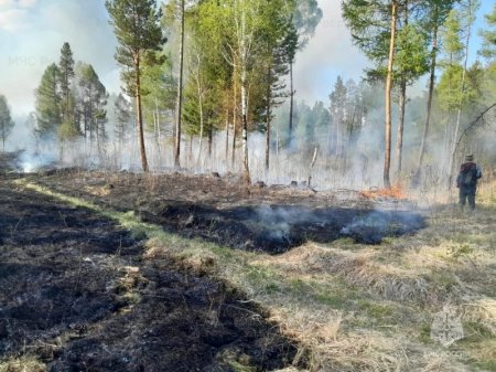 ������ ����������� ������ � ������ ������� ������� ������ ���������������� � ��������� ������� � ��������� �����