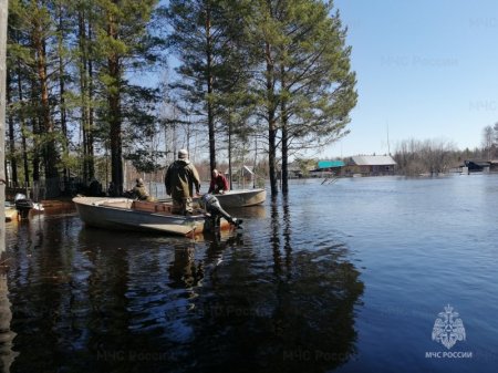 ��������� � �������