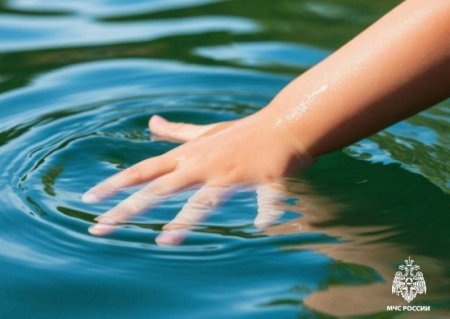 ��� ������ ����������: ���� � �������� ������ ������ ���� ��� ����������� ���������