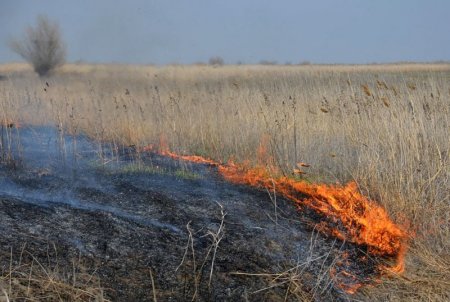 � ������� � ������������ �������� ��������� � ����� ����������� ����������� ������� ��������� �������