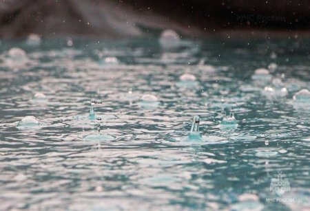 ���������� ����������� ��������� ������ �� ���������� �������