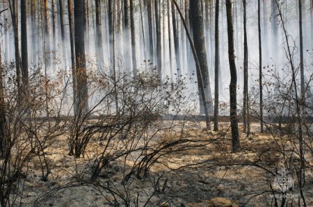 ������� � ������������ ������ �������� ��������� ��������� � ���� ������� ��������� �������