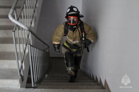 �� ������ �������� ��� ������ ������������� ����� 250 ���������� � ������ 12 �������