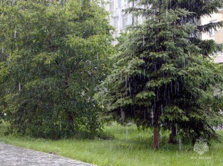 ��������������� �����, ����� � ��������� � ���� ������� ��������� ������� ��������� 6 ����