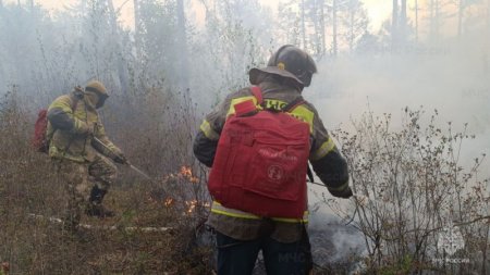 ��� ������ �������� ��������� ������ ����������