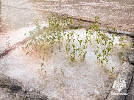 �� ���������� ��������� ���