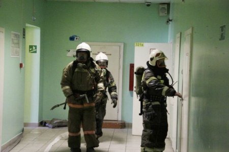 �������-����������� ������ � ��������