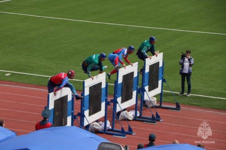 ������ ��� ���������������� ��� �� �������-������������� ������ ����� ��������������