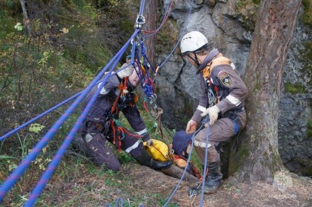 28 ���� ��������-������������ ������ ��� ������ ����������� 33 ����