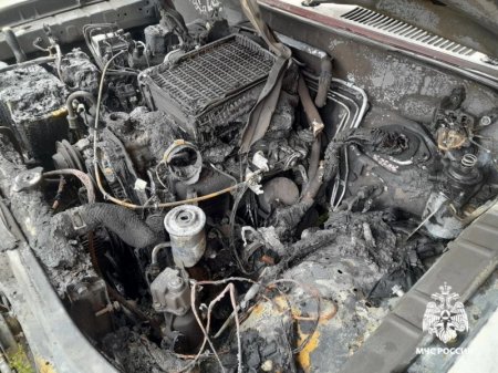 ���������� ������ �� ����� ���� � ����-���