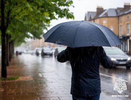 ���������� ��������: ����� ������� ����� ��������� �� ��������� ������������