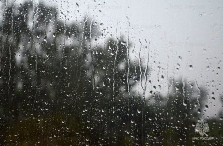 ��������������� �����, �����, ������� � ������������ ������ �������� ��������� � ����� ��������� � ��������� �������