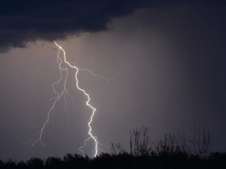 ������� ������������ �������������� � ������� 17 ����. ���������� ������������ �� ����� �����!