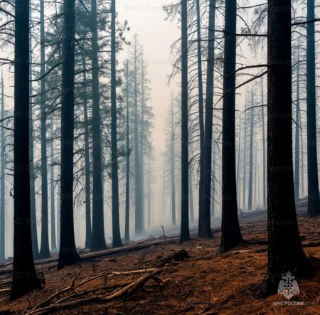 ������� � ������������ ������ �������� ��������� ���������� � ����� ������� �� 1 �������