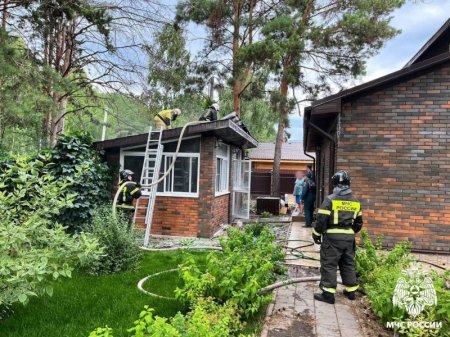 �� ������ ������������� �������� ������������� 81 ����������